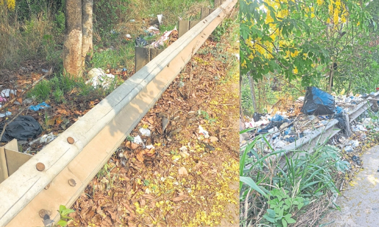 Mangaluru: ಕುಂಟಿಕಾನ-ಕೆಪಿಟಿ ಹೆದ್ದಾರಿ ತಾಜ್ಯ ಎಸೆಯುವುದಕ್ಕಿಲ್ಲ ಕಡಿವಾಣ