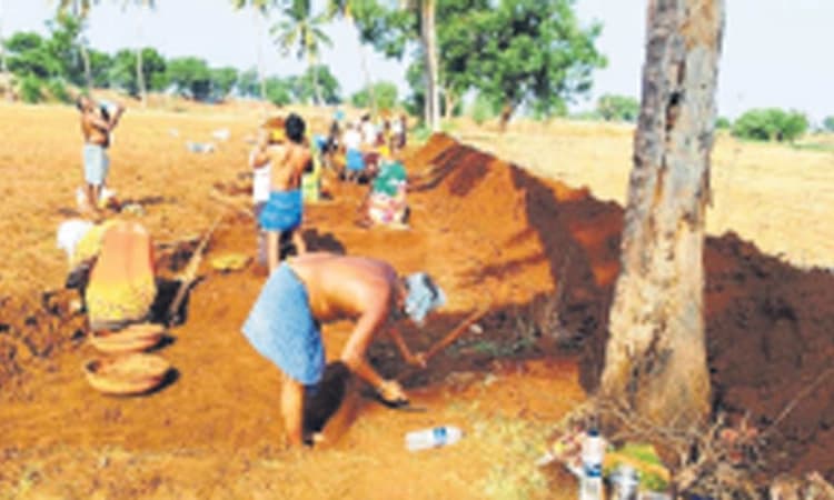 ಮಣ್ಣಿನ ಫಲಕ್ಕೆ ಸಮುದಾಯ ಬದುವಿನ ಬಲ; 350ಕ್ಕೂಅಧಿಕ ಕಂದಕ ನಿರ್ಮಾಣದ ಗುರಿ