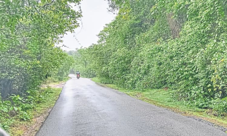 Bantwal: ವಗ್ಗ-ಕಕ್ಯಪದವು ರಸ್ತೆ ವಿಸ್ತರಣೆಗೆ ಈಗ ಅರಣ್ಯ ಕಾಯ್ದೆಯದ್ದೇ ಅಡ್ಡಿ