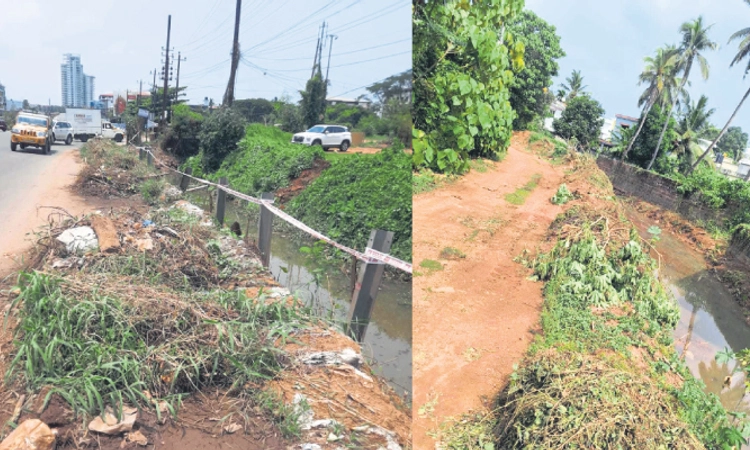 Mangaluru: ರಾಜಕಾಲುವೆ ಅರೆಬರೆ ಸ್ವಚ್ಛತೆ: ತೆಗೆದ ಹುಲ್ಲು, ಕಸ, ಹೂಳು ದಂಡೆಯಲ್ಲಿ ಬಾಕಿ!