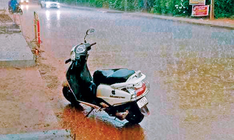 Rain ಬೆಳ್ತಂಗಡಿ: ಮುಂದುವರಿದ ಮಳೆ ಅಬ್ಬರ