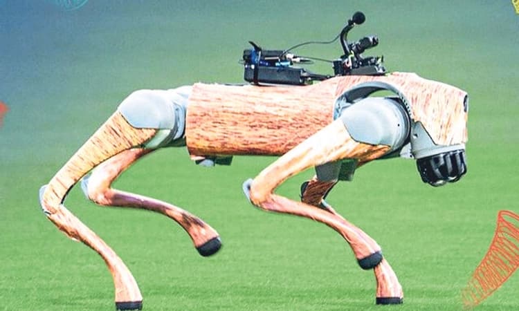 IPL; ಬಿಸಿಸಿಐಯನ್ನು ಕೋರ್ಟ್‌ ಮೆಟ್ಟಿಲೇರಿಸಿದ ರೋಬೊ ಡಾಗ್‌!