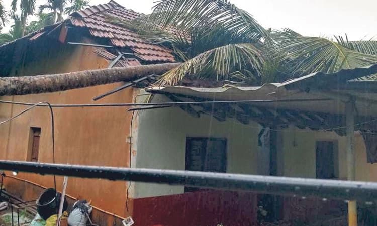 Belthangady: ತಾಲೂಕಿನಲ್ಲಿ ಮುಂದುವರಿದ ಗಾಳಿ, ಮಳೆ ಅನೇಕ ಮನೆಗಳ ಮೇಲೆ ಮರ ಉರುಳಿ ಹಾನಿ