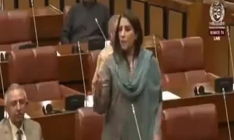 ಅಯೋಧ್ಯೆಯಲ್ಲಿ ಬಾಬ್ರಿಯ ಮೊದಲ ಇಟ್ಟಿಗೆ…: ಭಾರತವನ್ನು ಕೆರಳಿಸಿದ ಪಾಕ್ ಸೆನೆಟರ್!