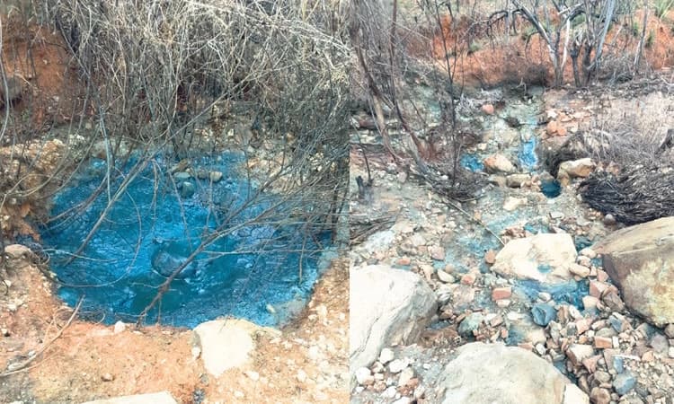 Doddaballapur: ಕೆರೆ, ಬೋರ್‌ವೆಲ್‌ ಆಯ್ತು, ಈಗ, ಅರಣ್ಯಕ್ಕೆ ತ್ಯಾಜ್ಯ!