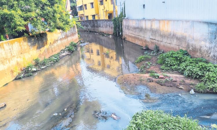 Mangaluru: ಮಳೆ ಅಪಾಯ ತಪ್ಪಿಸಲು ಟಾಸ್ಕ್ಫೋರ್ಸ್‌