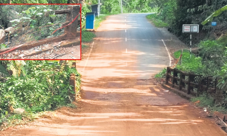 Badagannur: ಕಾಯರ್‌ಪದವು ಸೇತುವೆ ಶಿಥಿಲ; ಮರು ನಿರ್ಮಾಣಕ್ಕೆ ಆಗ್ರಹ