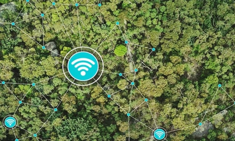 AI: ಅರಣ್ಯ ಪ್ರದೇಶಗಳ ರಕ್ಷಣೆಗೆ ಮಧ್ಯಪ್ರದೇಶದಲ್ಲಿ ಎಐ ಬಳಕೆ