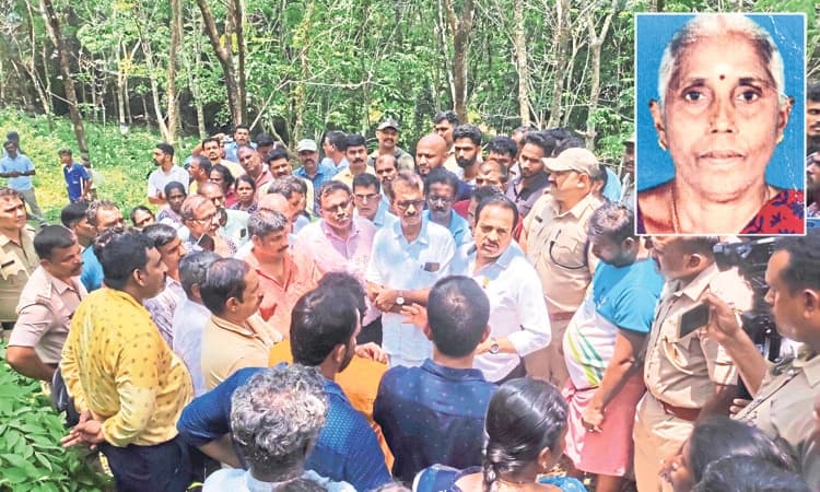 Puttur; ಕಾಡಾನೆ ದಾಳಿ: ಟ್ಯಾಪಿಂಗ್‌ ನಿರತ ಮಹಿಳೆ ಸಾವು