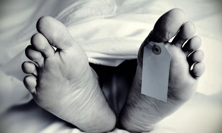 Aranthodu: ಹೊಳೆಗೆ ಬಿದ್ದು ಮಹಿಳೆ ಸಾವು