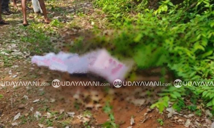 Puttur: ಕಣಿಯಾರು ಬಳಿ ಕಾಡಾನೆ ದಾಳಿಗೆ ಮಹಿಳೆ ಬ*ಲಿ