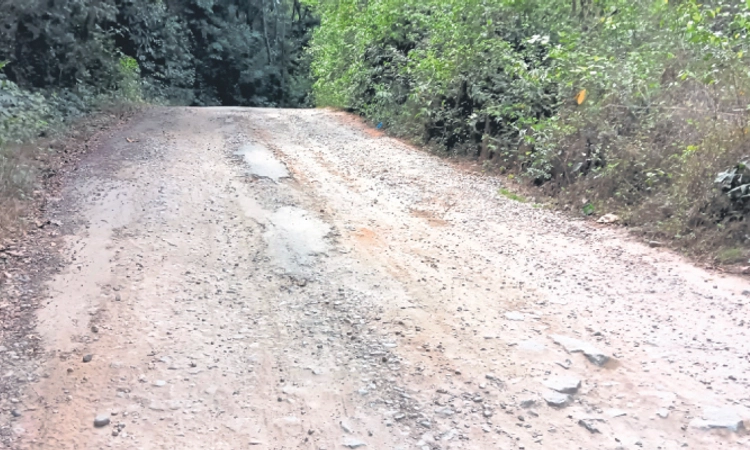 Belman: ಸೂಡ ಭಗತ್‌ ಸಿಂಗ್‌ ರಸ್ತೆ; ಇಲ್ಲಿ ರೋಡಿಲ್ಲ, ಬರೀ ಜಲ್ಲಿಕಲ್ಲು!