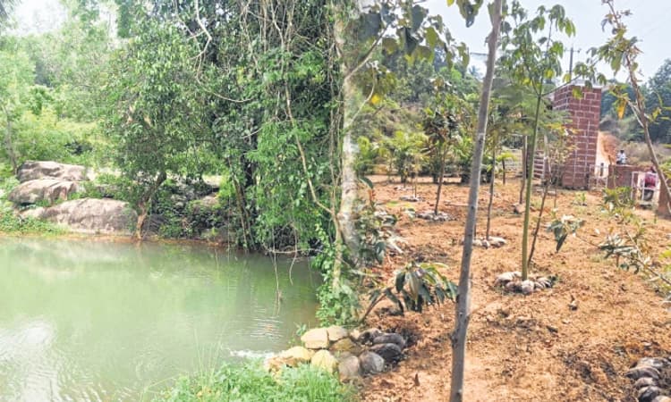 Kinnigoli: ಪಕ್ಷಿಕೆರೆಗೆ ಕಾಯಕಲ್ಪ; ಮತ್ತೆ ತುಂಬಿ ತುಳುಕಿದ ಜಲರಾಶಿ