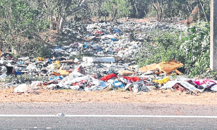 Baikampady: ಇದು ಇನ್ನೊಂದು ಪಚ್ಚನಾಡಿ!