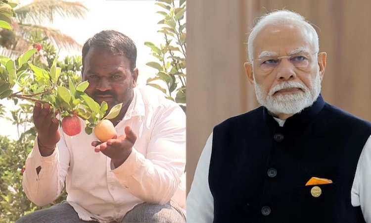 Mudhol: ಮನ್ ಕಿ ಬಾತ್ ನಲ್ಲಿ‌ ಕುಳಲಿ ರೈತನ ಸೇಬು ಕೃಷಿ ಪ್ರಸ್ತಾಪಿಸಿದ ಪ್ರಧಾನಿ ಮೋದಿ