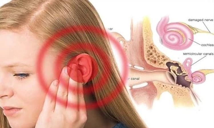 Ear health: ಭಾರೀ ಸದ್ದಿನಿಂದ ಆಗುವ ಶ್ರವಣ ಶಕ್ತಿ ನಷ್ಟ
