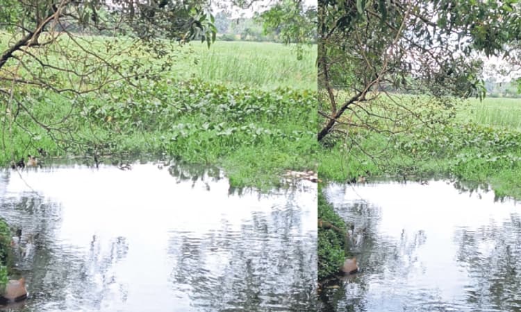 Koteshwara: ಬೀಜಾಡಿಯ ಅವಳಿ ಕೊಳಗಳ ವಿಸ್ತೀರ್ಣವೇ 29 ಎಕ್ರೆ!