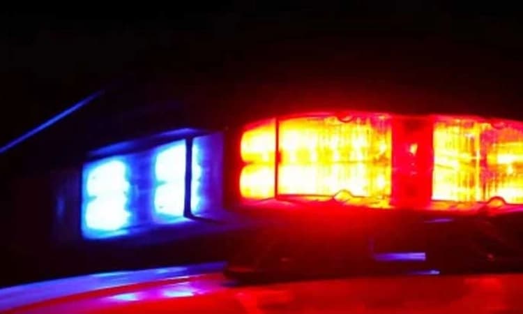 Bidar: ಮನೆಮಂದಿಗೆ ಗನ್ ತೋರಿಸಿ ನಗನಗದು ಲೂಟಿ ಮಾಡಿದ ಖದೀಮರು… ಪೊಲೀಸರಿಂದ ಪರಿಶೀಲನೆ