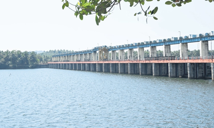 Bantwal: ನೇತ್ರಾವತಿಯ ಅಣೆಕಟ್ಟುಗಳೆಲ್ಲ ಭರ್ತಿ