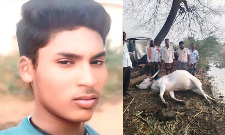 Vijayapura: ಸಿಡಿಲು ಬಡಿದು ಕುರಿಗಾಹಿ ಯುವಕ, ಎತ್ತು ಸಾ*ವು