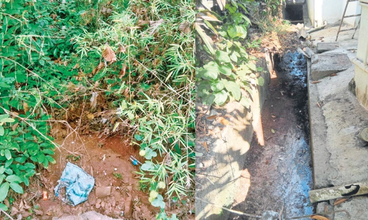 Mulki: ಮಳೆಗಾಲದ ಸಿದ್ಧತೆ ಶುರುವಾಗಿಲ್ಲ