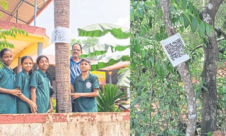 Puttur: ಶಾಲಾ ವಠಾರದ ಗಿಡಮರಗಳಿಗೆ ಕ್ಯುಆರ್‌ ಕೋಡ್‌!