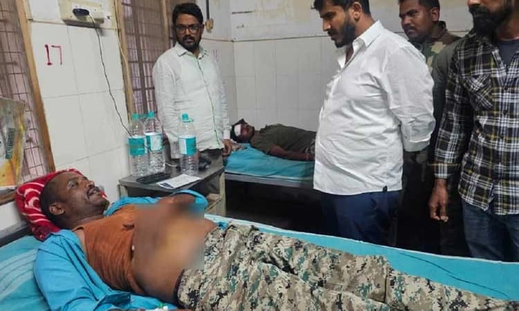 Hunsur: ನಾಗರಹೊಳೆಯಲ್ಲಿ ಕರಡಿ ದಾಳಿ… ಅರಣ್ಯ ಸಿಬ್ಬಂದಿಗಳಿಗೆ ಗಾಯ