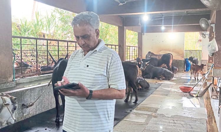 ಕುಕ್ಕೆಯಲ್ಲಿ ಹೊರಟ್ಟಿ: ಇಂದು, ನಾಳೆ ಸರ್ಪ ಸಂಸ್ಕಾರ ಸೇವೆ