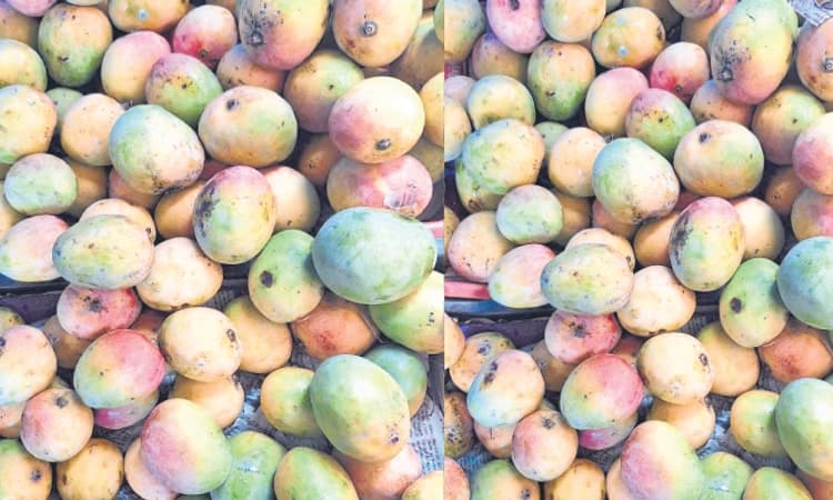 Karkala: ಮಾರುಕಟ್ಟೆಗೆ ಹೊರ ರಾಜ್ಯದ ಮಾವು ಆವಕ