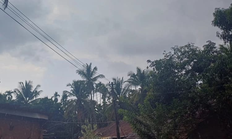 Sirsi: ಕಾದ ಭೂಮಿಯ ತಣಿಸಿದ ವರ್ಷದ ಮೊದಲ ಮಳೆ