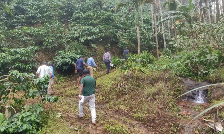 Dakshina Kannada; ಜಿಲ್ಲೆಯ 65,188 ಎಕ್ರೆ ಪ್ರದೇಶ ಕಾಫಿ ಬೆಳೆಗೆ ಸೂಕ್ತ