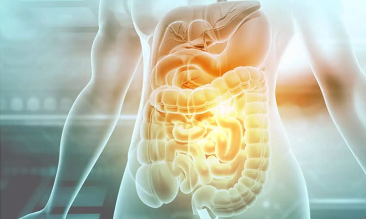 Gut Health: ಕರುಳಿನ ಆರೋಗ್ಯ ಕಾಪಾಡಿಕೊಳ್ಳಲು ಆರೋಗ್ಯಪೂರ್ಣ ಜೀವನ ವಿಧಾನ