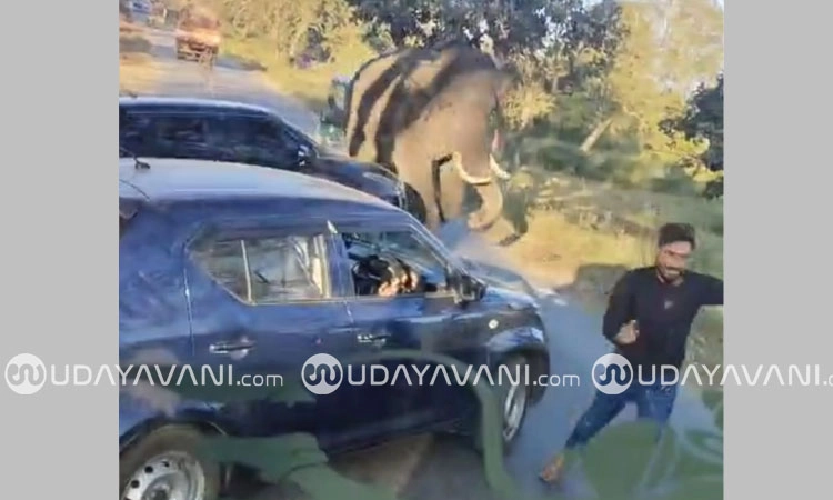 Gundlupete: ಬಂಡೀಪುರ ರಸ್ತೆಯಲ್ಲಿ ವಾಹನ ಸವಾರರ ಮೇಲೆ ಕಾಡಾನೆ ದಾಳಿ!