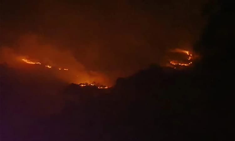 Wild Fire: ಚಾರ್ಮಾಡಿ ಘಾಟಿಯ ಅಣ್ಣಪ್ಪ ಸ್ವಾಮಿ ದೇವಸ್ಥಾನ ಬಳಿ ಭಾರಿ ಪ್ರಮಾಣದ ಕಾಡ್ಗಿಚ್ಚು!