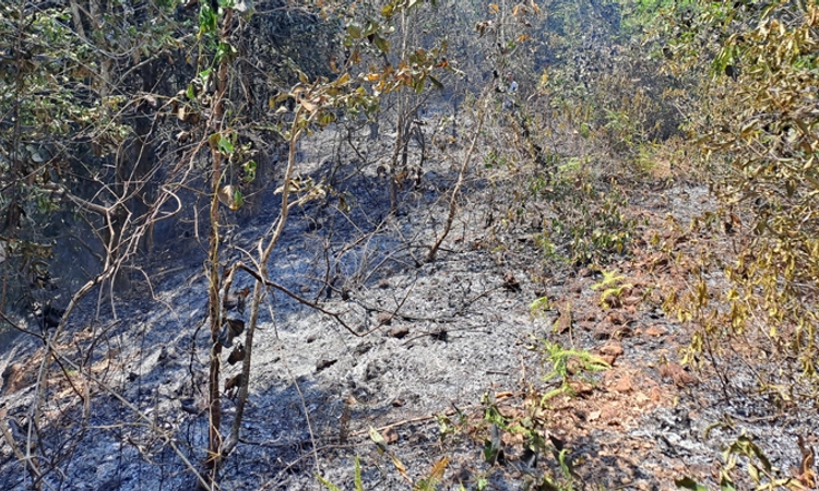 ದ.ಕ. ಜಿಲ್ಲೆಯ 6, ಉಡುಪಿ ಜಿಲ್ಲೆಯ 1 ಕಡೆ ಬಿದ್ದಿತು ಬೆಂಕಿ
