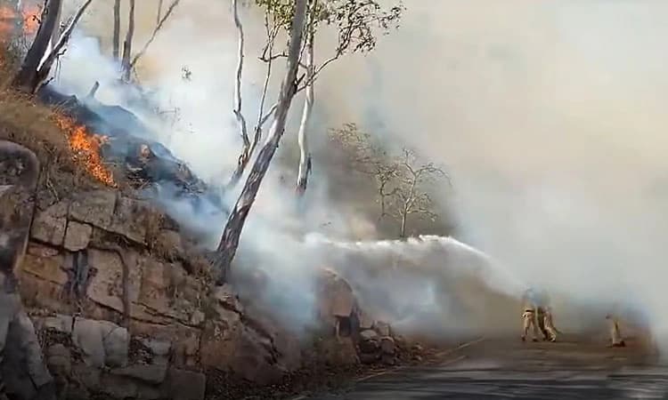 Mysuru: ಚಾಮುಂಡಿ ಬೆಟ್ಟದಲ್ಲಿ ಕಾಡ್ಗಿಚ್ಚು; 100 ಎಕರೆಯಷ್ಟು ಅರಣ್ಯ ಪ್ರದೇಶ ನಾಶ!