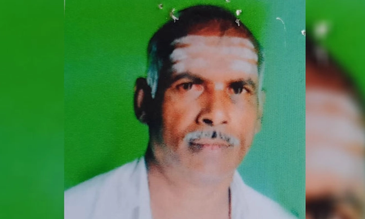 Davanagere: ಹೆಜ್ಜೇನು ದಾಳಿಯಿಂದ ಮೃತಪಟ್ಟ ರೈತ