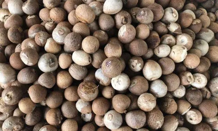 Puttur: ಅಡಿಕೆ ಖರೀದಿಸಿ 2.76 ಕೋ.ರೂ. ನೀಡದೆ ವಂಚನೆ