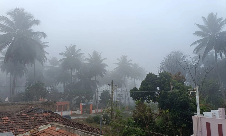 Hunsur: ಭಾರೀ ಮಂಜು ಮುಸುಕಿದ ವಾತಾವರಣ; ವಾಹನ ಸವಾರರ ಪರದಾಟ