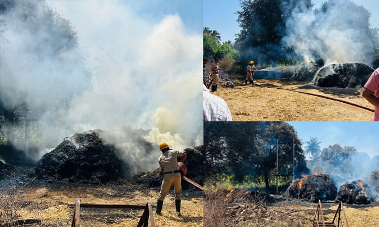 Bharamasagara: ವಿದ್ಯುತ್ ಕಿಡಿಗೆ ಎರಡು‌ ಮೇವಿನ ಬಣವೆ ಸಂಪೂರ್ಣ ಭಸ್ಮ