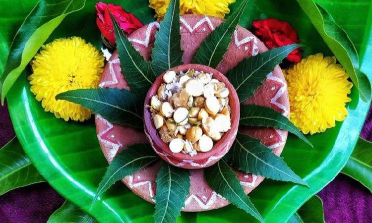 Sankranti: ಉತ್ತರ ಕರ್ನಾಟಕದ ಸ್ಪೆಶಲ್‌ ಸಂಕ್ರಾಂತಿ