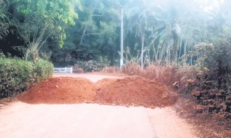 Sullia: ಜಳಕದಹೊಳೆ ಸೇತುವೆ; ಸಂಚಾರ ನಿಷೇಧ