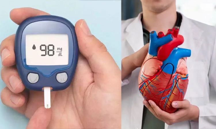 Fasting: ಉಪವಾಸ: ಹೃದಯ ಸಂಬಂಧಿ ಕಾಯಿಲೆ ಮತ್ತು ಮಧುಮೇಹ ಆರೈಕೆ