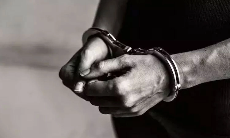 Arrested: ಹಲವು ಪ್ರಕರಣಗಳ ಆರೋಪಿ ಬಂಧನ