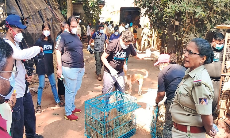 Saligrama: ಅನಧಿಕೃತ ಪ್ರಾಣಿ, ಪಕ್ಷಿಗಳ ಪಾಲನ ಕೇಂದ್ರ; ಪ್ರತಿರೋಧದ ನಡುವೆಯೇ ಸ್ಥಳಾಂತರ