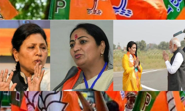 Delhi; ಮಹಿಳೆಗೆ ಮುಖ್ಯಮಂತ್ರಿ ಹುದ್ದೆ : ಬಿಜೆಪಿ ಯೋಜನೆಯೇನು?