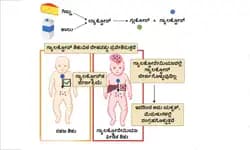Galactosemia; ಗ್ಯಾಲಕ್ಟೊಸೇಮಿಯಾ- ಪುಟ್ಟ ಸಕ್ಕರೆಯ ಬೃಹತ್‌ ಪರಿಣಾಮ!