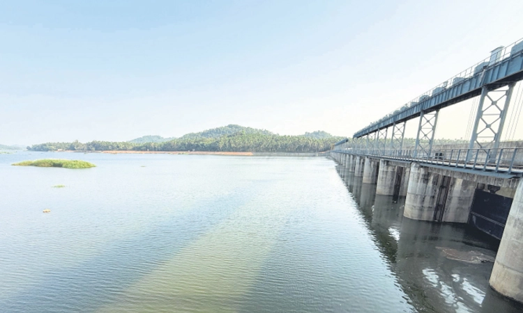 Bantwal: ಜಕ್ರಿಬೆಟ್ಟು ಅಣೆಕಟ್ಟಲ್ಲಿ ತುಂಬಿತು ನೀರು!