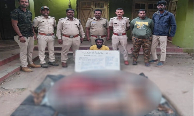 Hunsur: ಮಾಂಸಕ್ಕಾಗಿ ಜಿಂಕೆ ಕೊಂದವನ ಸೆರೆ; ಮತ್ತಿಬ್ಬರು ಪರಾರಿ
