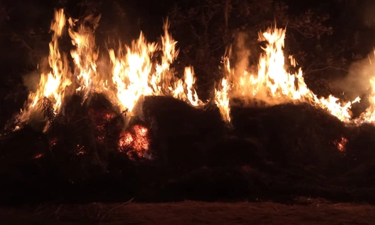 Yellapur: 30 ಚೀಲ ಭತ್ತ, 200 ಕ್ಕೂ ಅಧಿಕ ಕಟ್ಟು ಹುಲ್ಲು ಬೆಂಕಿಗಾಹುತಿ